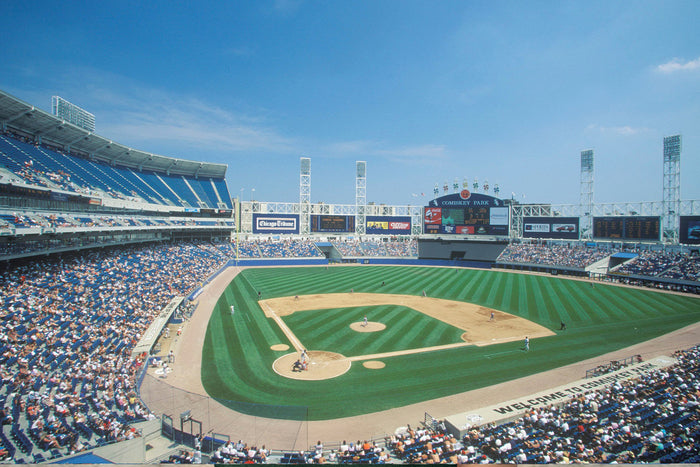 The Origin of the Famed Dodger Dog: America's Favorite Ballpark Food -  Allegiant Goods Co.