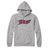 New England Pennant Hoodie-Heather Grey-Allegiant Goods Co. Vintage Sports Apparel