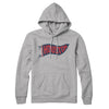 Houston Pennant Hoodie-Heather Grey-Allegiant Goods Co. Vintage Sports Apparel