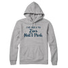 I've Been To Zion National Park Hoodie-Heather Grey-Allegiant Goods Co. Vintage Sports Apparel