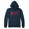 Houston Pennant Hoodie-Navy Blue-Allegiant Goods Co. Vintage Sports Apparel